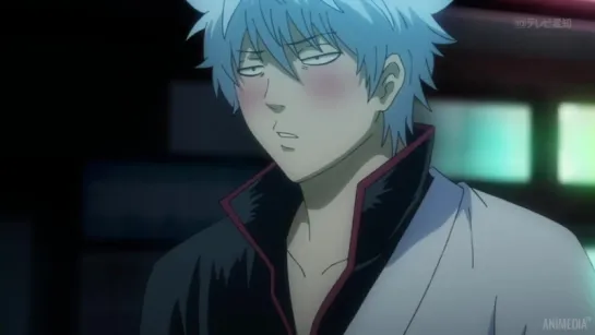 Gintama Гинтама [TV-4] 14 (279) [Shachiburi]