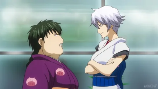 Gintama Гинтама [TV-4] 11 (276) [Shachiburi]