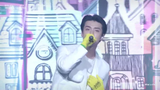 190731(22) SEHUN CAM выступление с What a life @ EXO-SC SНОWСASЕ