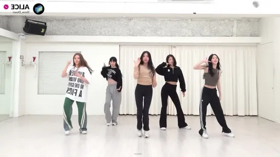 ALICE (앨리스) - 'SHOW DOWN' Dance Practice [Mirrored]