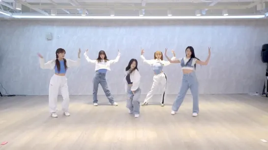 Apink (에이핑크) - 'D N D' Dance Practice [Mirrored]