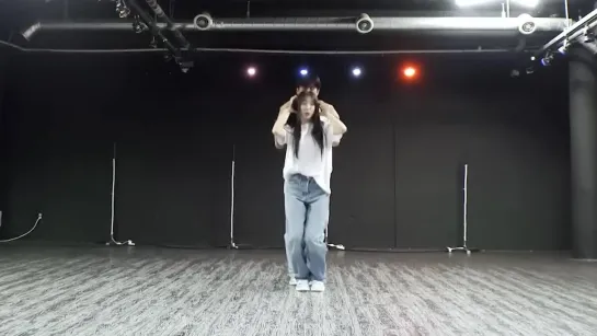 LEE CHAE YEON (이채연) - 'DANNY' Dance Practice [Mirrored]