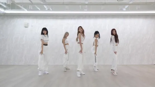 Apink (에이핑크) - 'Dilemma' Dance Practice [Mirrored]