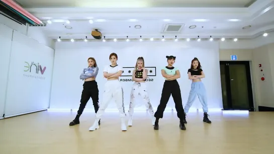 SECRET NUMBER(시크릿넘버) - 'Who Dis?' Dance Practice [Mirrored]