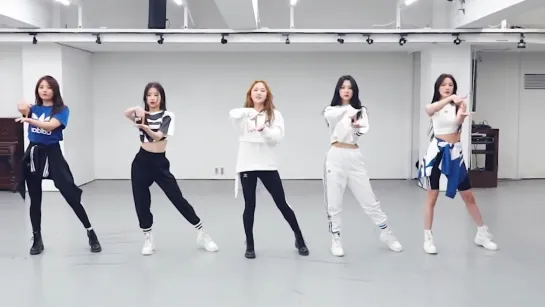 BVNDIT(밴디트) - 'JUNGLE' Dance Practice [Mirrored]