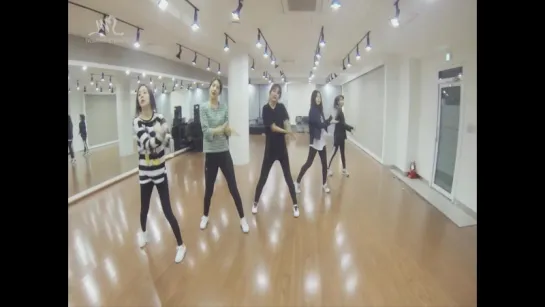 [VK] mirrored [Dance Practice ver] Red Velvet 레드벨벳_Rookie