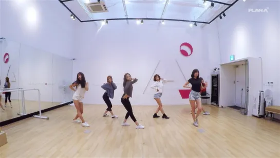 [V LIVE] Apink 콕콕 안무 연습 영상 (Choreography Practice Video)