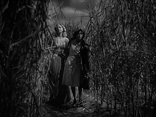 Я гуляла с зомби (I Walked with a Zombie) (1943 )