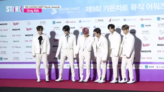 [VIDEO] 200108 Stray Kids Red Carpet @  9th Gaon Chart Music Awards