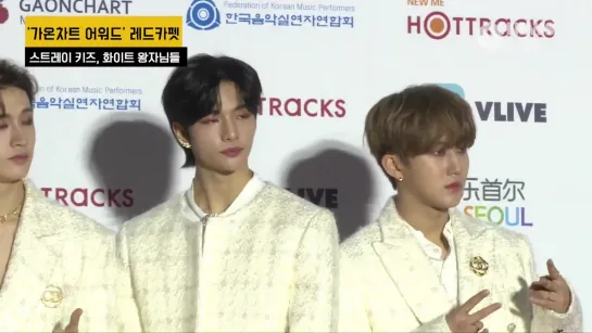 [VIDEO] 200108 Stray Kids Red Carpet @  9th Gaon Chart Music Awards