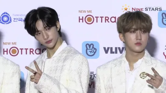 [VIDEO] 200108 Stray Kids Red Carpet @  9th Gaon Chart Music Awards