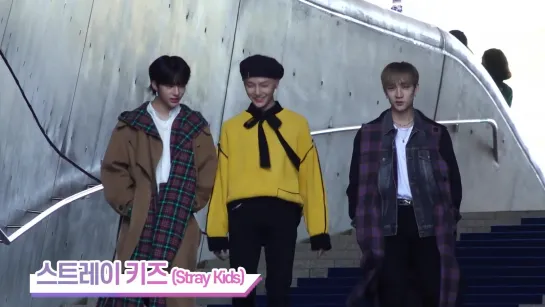 [VIDEO] 191017 Stray Kids @ S/S Seoul Fashion Week SONGZIO HOMME