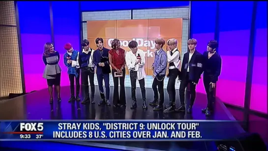 [VIDEO] 200128 Stray Kids Interview @ Good Day New York