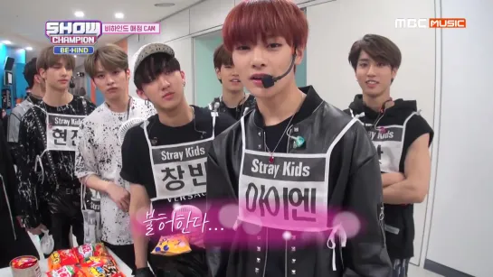 [VIDEO] 190412 Stray Kids CUT @ Show Champion Behind