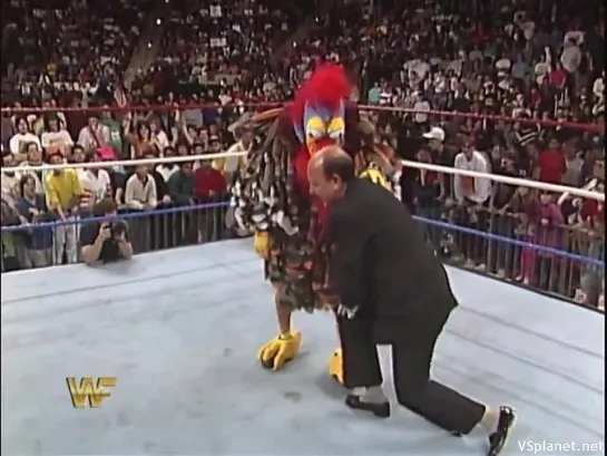 Gobbledy Gooker debuts in WWF - Survivor Series 1990