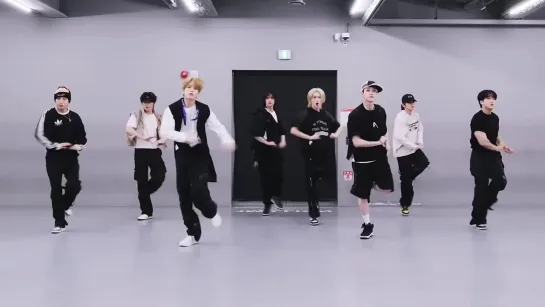 Stray Kids (스트레이 키즈) - S-Class (특) Dance Practice [Mirrored]