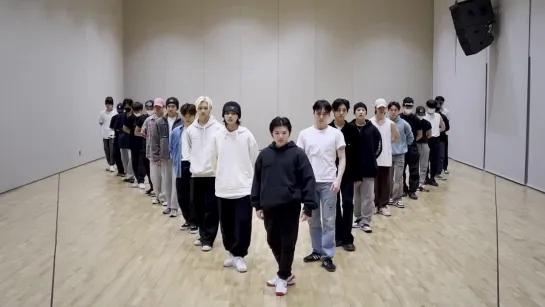 SEVENTEEN (세븐틴) - 'DON QUIXOTE' Dance Practice [Mirrored]