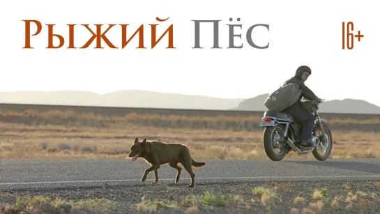 Рыжий пес  Red Dog (2011)