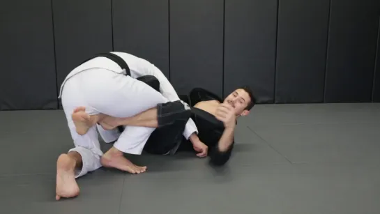 CAIO TERRA - 2 Half Guard Recover to Reverse Knee Shield to Dela Riva