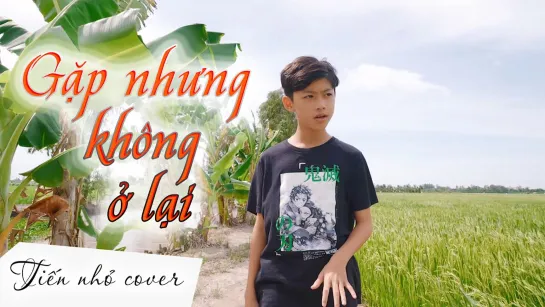 Tiến Nhỏ - Gặp Nhưng Không Ở Lại (Hiền Hồ & Vương Anh Tú Cover) • Вьетнам | 2020