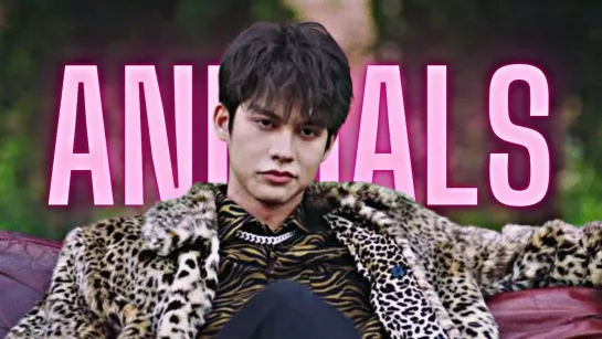 F4 Thailand: Boys Over Flowers (F4) - Animals