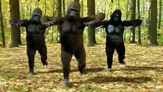 Gorillas Gangnam Style (HD).avi