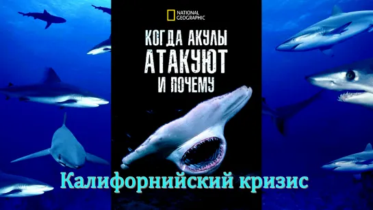 «Когда нападают акулы и почему (01). Калифорнийский кризис» (Познавательный, природа, животные, исследования, 2023)