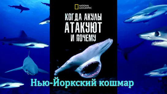 «Когда нападают акулы и почему (02). Нью-Йоркский кошмар» (Познавательный, природа, животные, исследования, 2023)