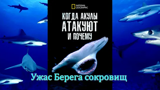 «Когда нападают акулы и почему (03). Ужас Берега сокровищ» (Познавательный, природа, животные, исследования, 2023)