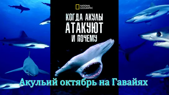 «Когда нападают акулы и почему (06). Акульий октябрь на Гавайях» (Познавательный, природа, животные, исследования, 2023)