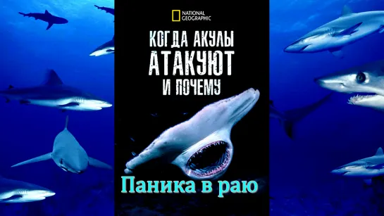 «Когда нападают акулы и почему (07). Паника в раю» (Познавательный, природа, животные, исследования, 2023)