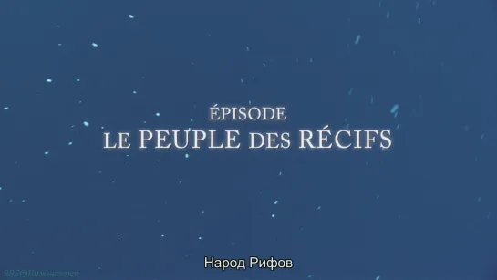 «Народ океанов (3). Народ рифов» (Познавательный, природа, животные, путешествие, 2011)