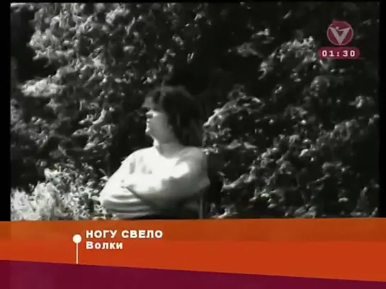 Ногу свело! - Волки (Вариант) Музыка на Варианте