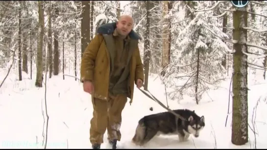 «Закон природы – Где собака порылась» (Животные, 'ВГТРК', 2011)