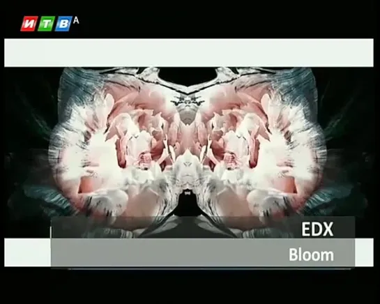 EDX  - Bloom (ИТВ) Музыкальная ночь