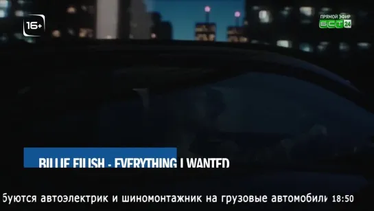 Billie Eilish - Everything I Wanted (БСТ24) Братск Оnline