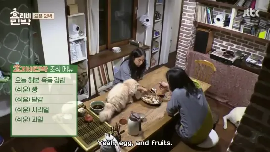 Hyori's Bed And Breakfast Episode 1 English sub