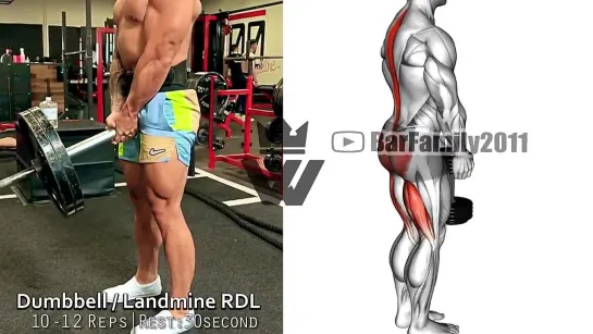 12 Best Leg Exercises Glute Workout (Effective Exercises!)