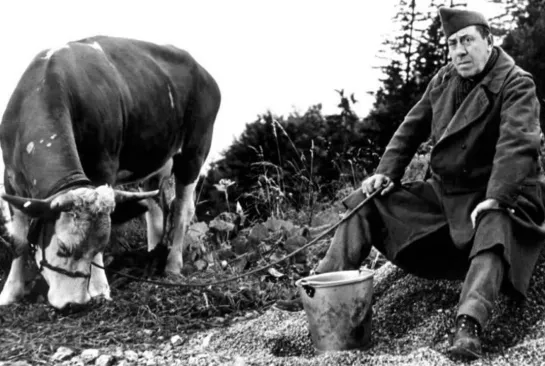 Корова и солдат / La vache et le prisonnier - 1959