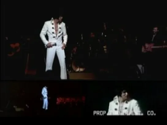 Elvis Presley : That's The Way It Is