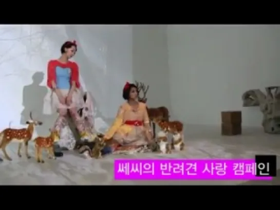 110925 SISTAR in Ceci’s “I Love Pet” Photoshoot Behind the Scenes