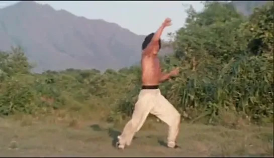 Drunken Master \ Пьяный мастер (1978)