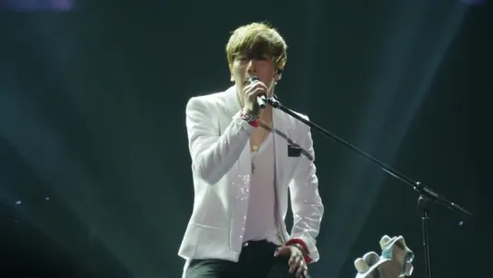 Park Hyo Shin - Snow Flower 141212