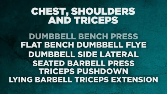 Beginner Chest, Shoulders  Triceps Workout   Labrada Lean Body Training Program   Day 16