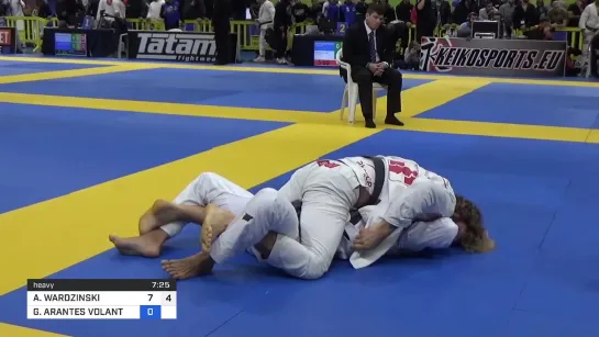 Adam Wardzinski VS G. Arantes #IBJJFEURO2020