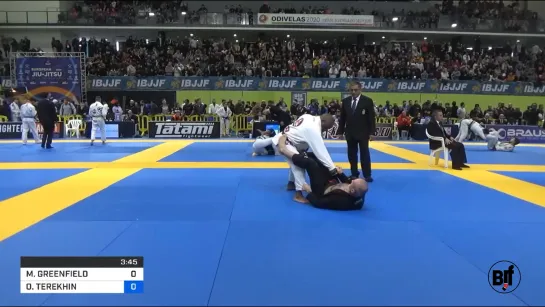 FIN MICHAEL GREENFIELD vs OLEG TEREKHIN  (Алик Алеханов)#IBJJFEURO2020 #BJF_нашилюди