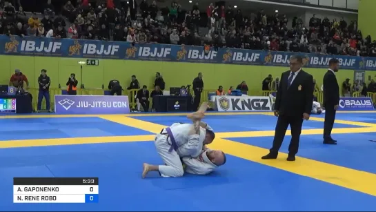 ALEKSANDR GAPONENKO vs NICOLAS RENE ROBO