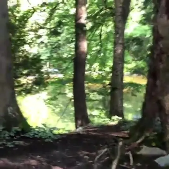 Bruno Pelletier - Tournage de « La vraie nature de »...