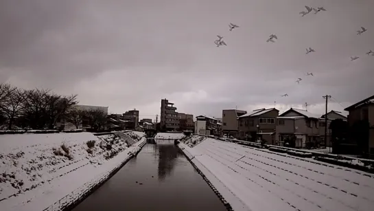 Winter in Japan