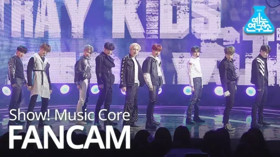 [FANCAM] 190330 Stray Kids - "Victory Song" @ Music Core